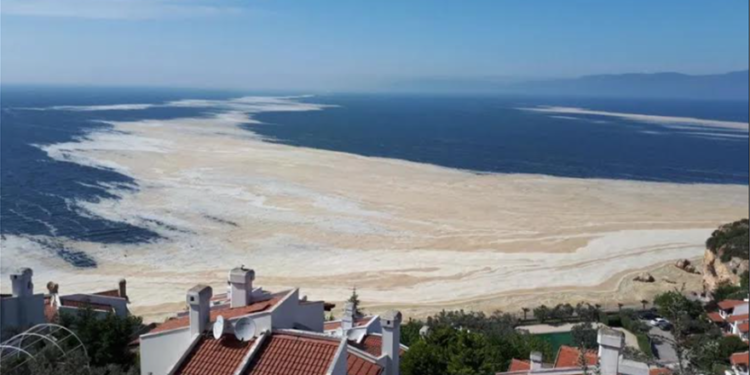 Τεράστια βλέννα σαν γλίτσα καλύπτει τη θάλασσα του Μαρμαρά και απειλεί το Αιγαίο (Photos)