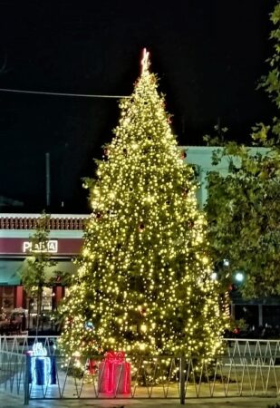 Δήμος Πύργου: Απόψε Πέμπτη (16/12) η μεγάλη γιορτή της φωταγώγησης του χριστουγεννιάτικου δέντρου στην κεντρική πλατεία του Πύργου- Το πρόγραμμα και η συναυλία της Πένυς Μπαλτατζή