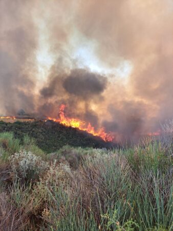 Ηλεία: Πυρκαγιά εκδηλώθηκε σε αγροτοδασική έκταση κοντά στην Τ.Κ. Άγναντα Πηνείας, του δήμου Ήλιδας- Επιχειρούν επίγειες και εναέριες δυνάμεις της Πυροσβεστικής (Photos)