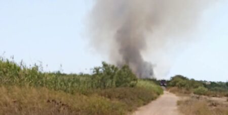 Πύργος: Μεγάλη πυρκαγιά στη Σπιάντζα - Καίγονται ξερόχορτα και καλαμιές στην περιοχή της Σαρακίνας- Επιχειρούν ισχυρές δυνάμεις της Πυροσβεστικής και εναέρια μέσα - Υπο έλεγχο η πυρκαγιά (ΝΕΟΤΕΡΑ) (photos)