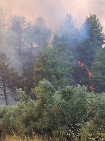 Ηλεία: Προς Γρύλλο,Σμέρνα και Βρίνα κινούνται οι εστίες της μεγάλης πυρκαγιάς σε Μακρίσια και Κρέστενα (Photos)