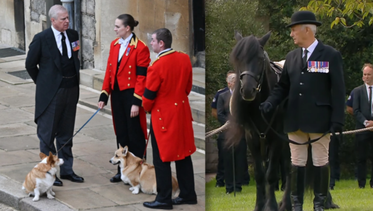 Κηδεία Βασίλισσας Ελισάβετ: Το αγαπημένο άλογο και τα δύο κόργκι της δεν έλειψαν από το τελευταίο «αντίο» – Δείτε φωτογραφίες